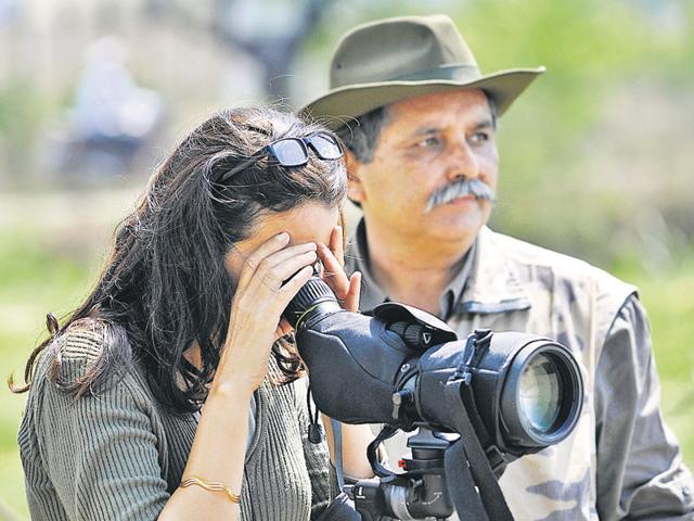 Birdwatchers enjoying their time outside. (HT Photo) Birdwatchers enjoying their time outside. (HT Photo)