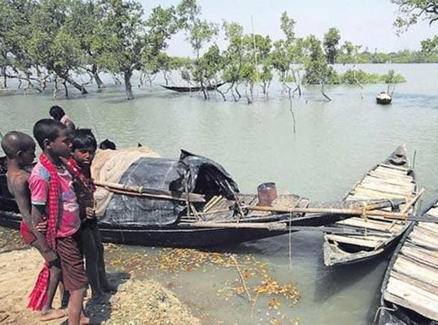 An explosion in the rat population in the Sundarbans has topped the list of concerns for voters.(HT Photo) An explosion in the rat population in the Sundarbans has topped the list of concerns for voters.(HT Photo)