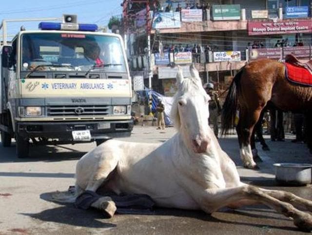 In this March 14 photo, BJP MLA Ganesh Joshi is seen hitting the horse during a party rally at Vidhan Sabha in Dehradun. (HT Photo) In this March 14 photo, BJP MLA Ganesh Joshi is seen hitting the horse during a party rally at Vidhan Sabha in Dehradun. (HT Photo)