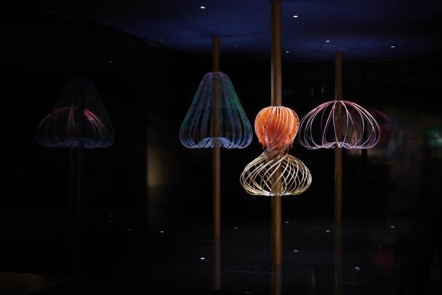 Elaine Yan Ling Ng Sundew for Swarovski Designers of the Future. (AFP)