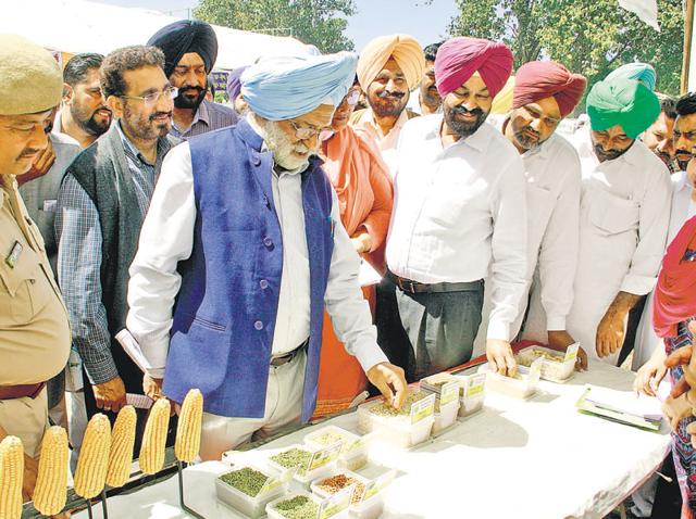 PAU vice-chancellor Baldev Singh Dhillon visiting stalls at the kisan mela in Bathinda on Tuesday. (Sanjeev Kumar/HT Photo) PAU vice-chancellor Baldev Singh Dhillon visiting stalls at the kisan mela in Bathinda on Tuesday. (Sanjeev Kumar/HT Photo)