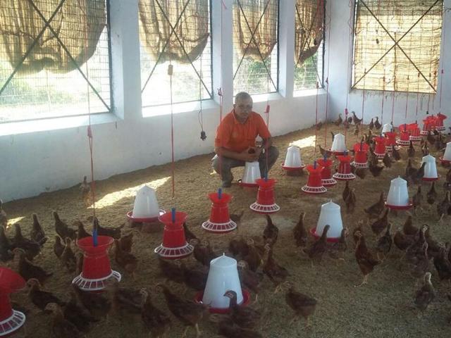 Entrepreneur K Georgekutty at his Kadaknath poultry centre in Kochi on Tuesday.(HT photo) Entrepreneur K Georgekutty at his Kadaknath poultry centre in Kochi on Tuesday.(HT photo)