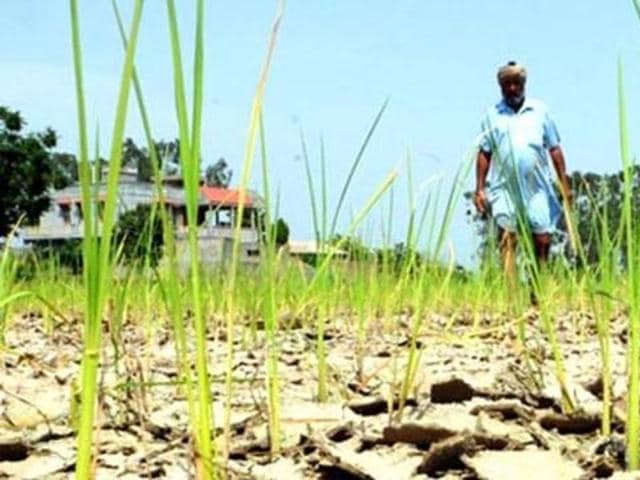 Marathwada, in Maharashtra,?is facing severe drought and the situation is such that many districts get water after days. People gathering at nearly dried-up wells and water tankers have got into scuffles, minor violence during water collection has become the norm.(HT/Representative Photo)