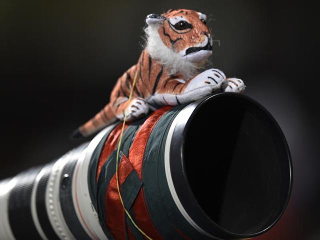Bangladesh photographer put Teddy Tiger on his camera lens to show support for his national team during T20 World Cup league match. (Vipin Kumar/HT Photo) Bangladesh photographer put Teddy Tiger on his camera lens to show support for his national team during T20 World Cup league match. (Vipin Kumar/HT Photo)