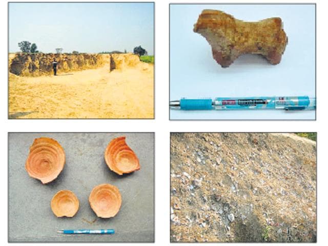 Artefacts were found when some MGNREGA workers were levelling the field of one Hari Singh on February 8. The sarpanch of the village informed the district administration about the recovery. (HT Photo) Artefacts were found when some MGNREGA workers were levelling the field of one Hari Singh on February 8. The sarpanch of the village informed the district administration about the recovery. (HT Photo)
