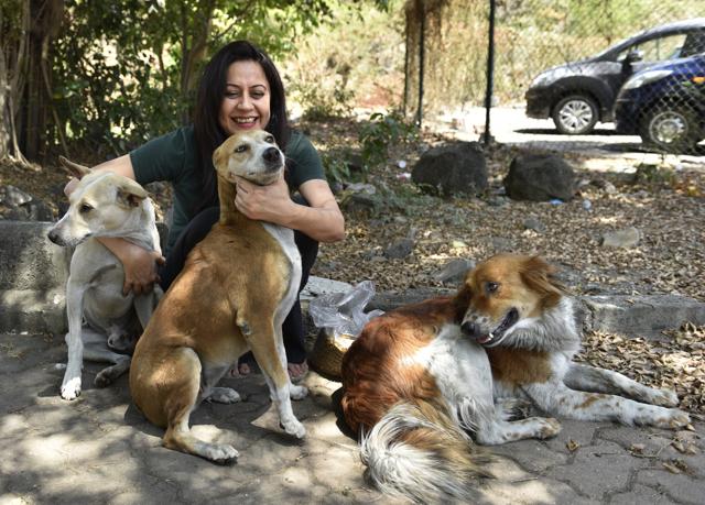Canine behaviourist Niharika Gandhi with Ceecee, Brownie and Sasha, three strays that she sterilised with help from the developer of her residential township, the Hiranandani Group. (Satish Bate/ HT Photo)