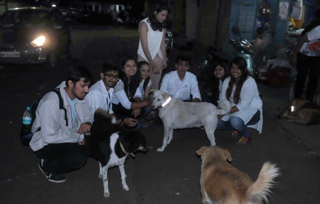 The Motopaws reflective collars are made with denim, orange mesh and reflective silver fabric that glows in the dark. What started in a single city, Pune, has already spread to 15 cities through a network of 200 volunteers. (Ht Photo)
