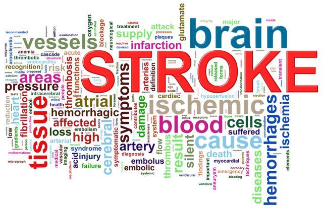 Researchers at the Weill Cornell Medicine in the US said that their experiments showed a new relationship between the brain and the intestine. (Shutterstock)