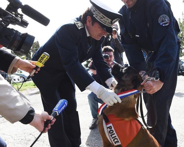 Department Police Director of Bouches-du-Rhone Pierre-Marie Bourniquel (L) gives to a Malinois of the French National Police, named "Choc". (AFP) Department Police Director of Bouches-du-Rhone Pierre-Marie Bourniquel (L) gives to a Malinois of the French National Police, named "Choc". (AFP)