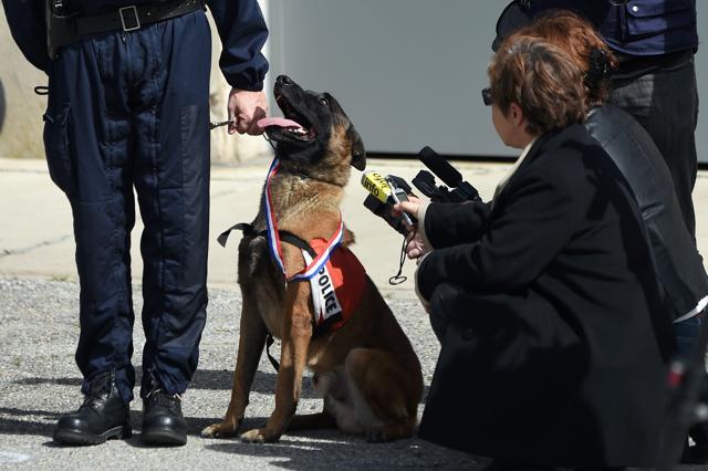 Sergeant Eric Tisserand (L) with "Choc". (AFP) Sergeant Eric Tisserand (L) with "Choc". (AFP)