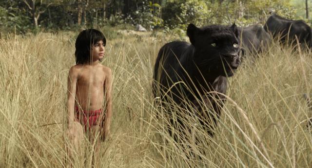 The Jungle Book is directed by Jon Favreau. (YouTube) The Jungle Book is directed by Jon Favreau. (YouTube)