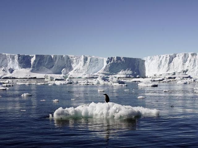 An Adelie penguin stands atop a block of melting ice near the French station at Dumont díUrville in East Antarctica. (REUTERS File Photo) An Adelie penguin stands atop a block of melting ice near the French station at Dumont díUrville in East Antarctica. (REUTERS File Photo)