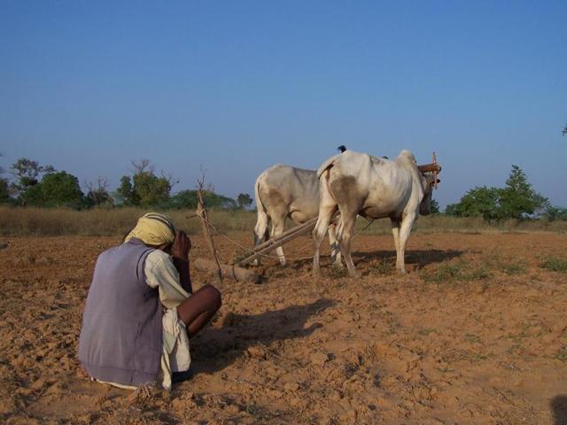 The festival -- Rahas Lokotsav -- is organised in the Rural Development, Panchayati Raj and Cooperatives Minister’s Garha Kota constituency in Sagar district.(Pankaj Jaiswal / HT Photo)