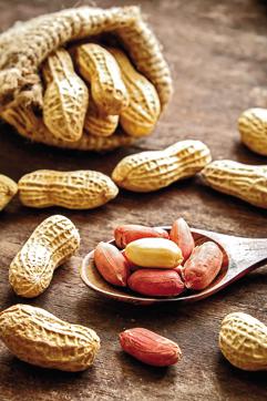 Peanuts are loaded with a powerful antioxidant that helps reduce the risk of cancer (Shutterstock)