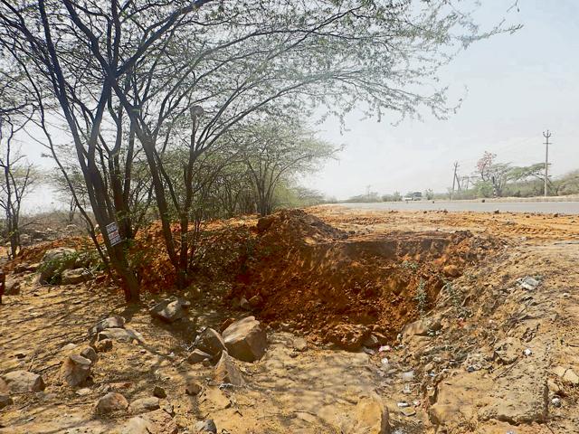 The area falls under Section 4 and 5 of the Punjab Land Preservation Act (PLPA) and cutting of trees in the area without permission is prohibited.(Hindustan Times) The area falls under Section 4 and 5 of the Punjab Land Preservation Act (PLPA) and cutting of trees in the area without permission is prohibited.(Hindustan Times)