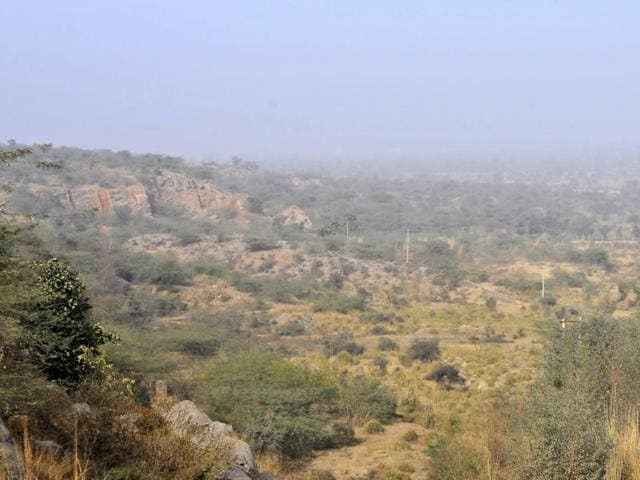 The National Green Tribunal (NGT) slapped a fine of Rs 1 lakh on three real estate firms for allegedly trying to develop more than 400 acres of forest land in Aravalli in Mangar Bani, a sacred grove in Gurgaon. (Abhinav Saha) The National Green Tribunal (NGT) slapped a fine of Rs 1 lakh on three real estate firms for allegedly trying to develop more than 400 acres of forest land in Aravalli in Mangar Bani, a sacred grove in Gurgaon. (Abhinav Saha)