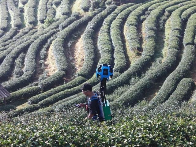 Stroll along Thailands’s beaches and tea gardens with these Google’s Street View images. (Google/ Mashable) Stroll along Thailands’s beaches and tea gardens with these Google’s Street View images. (Google/ Mashable)