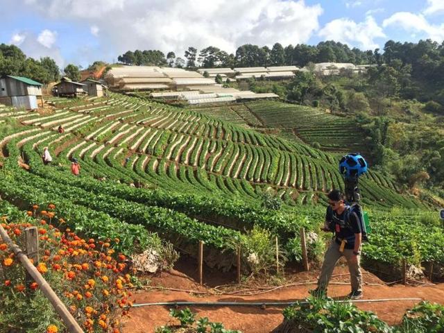 Thailand is the latest country to be captured by the Google Maps Street View service, which currently stands at more than 65 countries. (Google/ Mashable) 