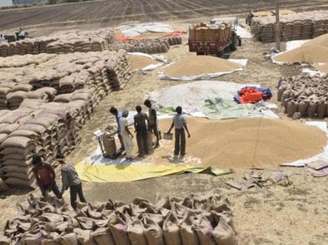 The procurement season formally started from April 1 onwards. Bulk arrival of wheat is expected from April 7 onwards. (HT Photo) The procurement season formally started from April 1 onwards. Bulk arrival of wheat is expected from April 7 onwards. (HT Photo)