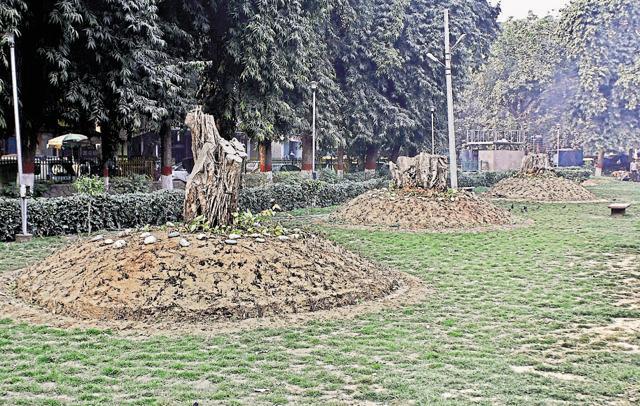 Mounds built at a Jangpura park eat into the space meant for children to play. (Sanchit Khanna/ HT Photo) Mounds built at a Jangpura park eat into the space meant for children to play. (Sanchit Khanna/ HT Photo)