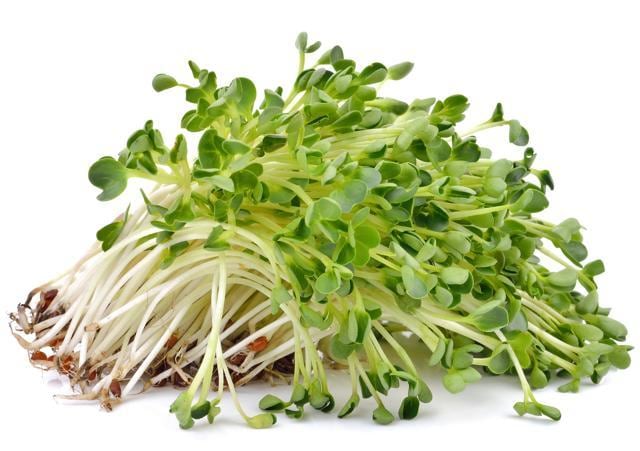 Alfalfa is high in protein, calcium and other minerals, vitamins in the B group, vitamin C, vitamin D, vitamin E, and vitamin K. (Shutterstock) Alfalfa is high in protein, calcium and other minerals, vitamins in the B group, vitamin C, vitamin D, vitamin E, and vitamin K. (Shutterstock)