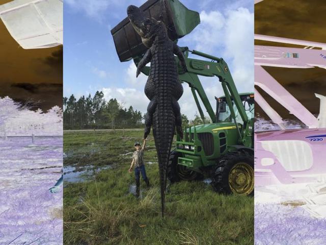800 pounds in kgs 2025