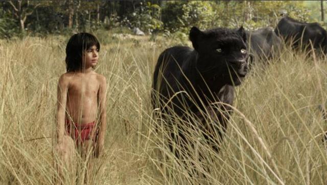 Mowgli, the man-cub, is raised by wolves in an Indian jungle with the help of Baloo the bear and Bagheera the black panther. (Twitter)