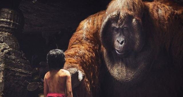 Ever since it was written by Kipling in 1894, The Jungle Book has captured the imagination of readers and has been made into countless books and TV adaptions. (Twitter)