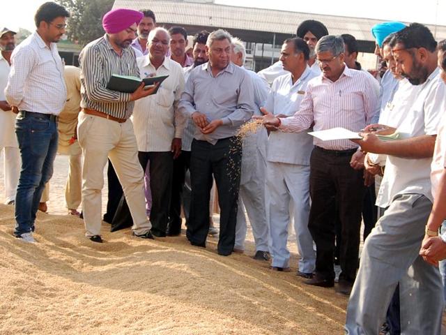 MLA and chief parliamentary secretary Sarup Chand Singla reviews the wheat procurement arrangements in Bathinda. (Sanjeev Kumar/HT Photo) MLA and chief parliamentary secretary Sarup Chand Singla reviews the wheat procurement arrangements in Bathinda. (Sanjeev Kumar/HT Photo)