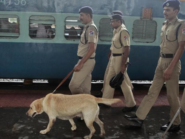If permitted, this will be the first instance of dogs being used in prisons. (HT File) If permitted, this will be the first instance of dogs being used in prisons. (HT File)