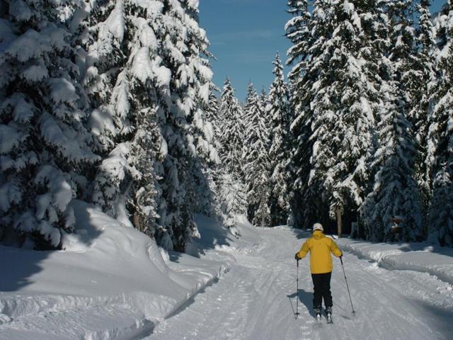 In the past 15 years or so, it has become the winter playground for Russian billionaires. (courchevel.com) 