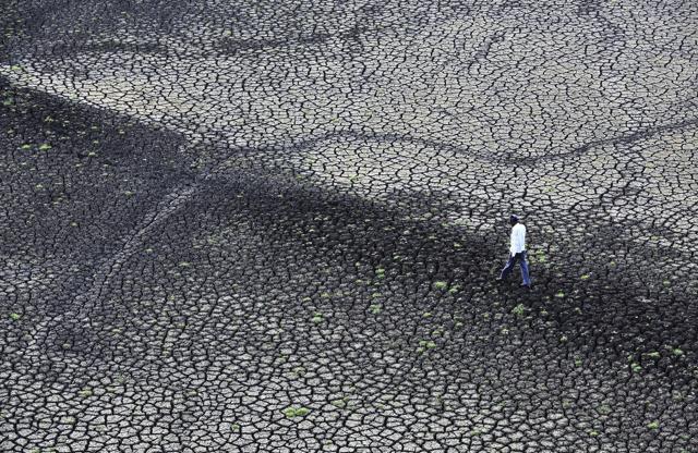 Dried and cracked storage area of the Manjara Dam in Dhanegaon. (Anshuman Poyrekar/HT Photo) Dried and cracked storage area of the Manjara Dam in Dhanegaon. (Anshuman Poyrekar/HT Photo)