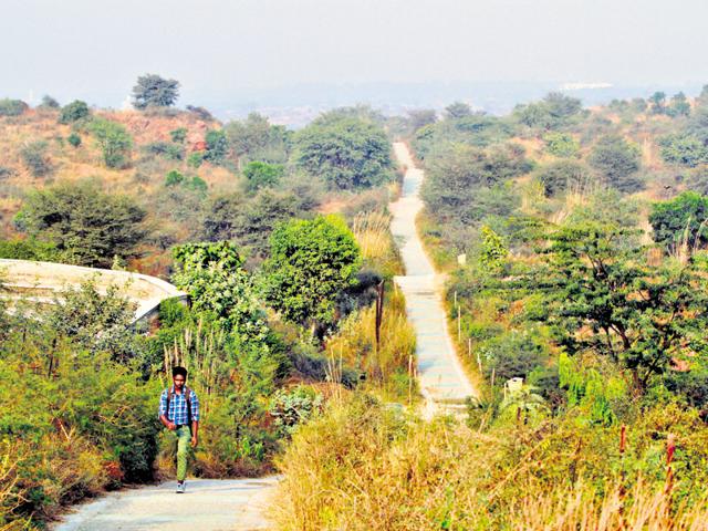 Only eco-friendly material, including local soil, bamboo, sandstone slabs, and lightweight steel, will be used for the construction of the centre.(HT File Photo) Only eco-friendly material, including local soil, bamboo, sandstone slabs, and lightweight steel, will be used for the construction of the centre.(HT File Photo)