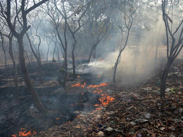 Residents of nearby localities say that dumping of garbage in the green belt and its burning is a common sight in the area. (Sakib Ali/HT Photo) Residents of nearby localities say that dumping of garbage in the green belt and its burning is a common sight in the area. (Sakib Ali/HT Photo)