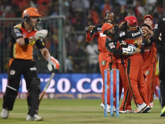 Royal Challengers Bangalore players celebrate the wicket of Shikhar Dhwan (unseen) as David Warner watches. (Ravi Choudhary/HT Photo) Royal Challengers Bangalore players celebrate the wicket of Shikhar Dhwan (unseen) as David Warner watches. (Ravi Choudhary/HT Photo)