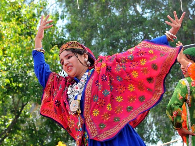 Artists performing at the border on Wednesday. (Nitin Kanotra/HT)