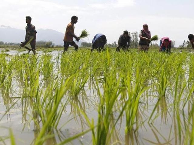 In 2015, India’s growth was 7.3%, which would increase to 7.5% in the next two years of 2016 and 2017, IMF had said earlier. (REUTERS) In 2015, India’s growth was 7.3%, which would increase to 7.5% in the next two years of 2016 and 2017, IMF had said earlier. (REUTERS)