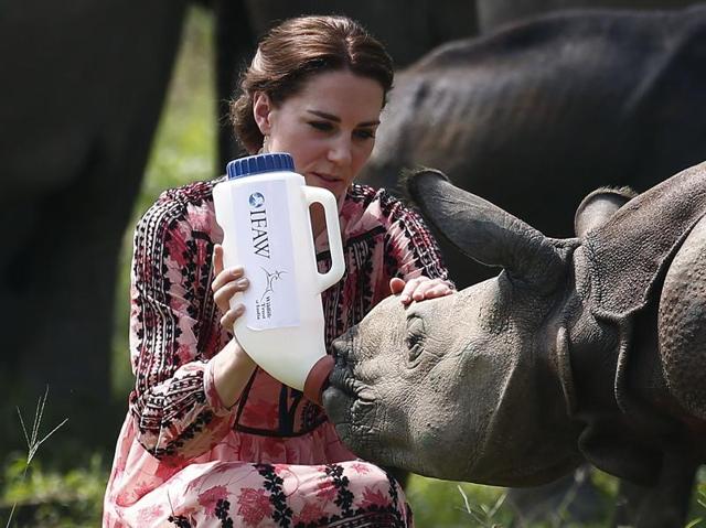 Prince William and Duchess Catherine during an open vehicle safari inside the Kaziranga National Park(AP) Prince William and Duchess Catherine during an open vehicle safari inside the Kaziranga National Park(AP)
