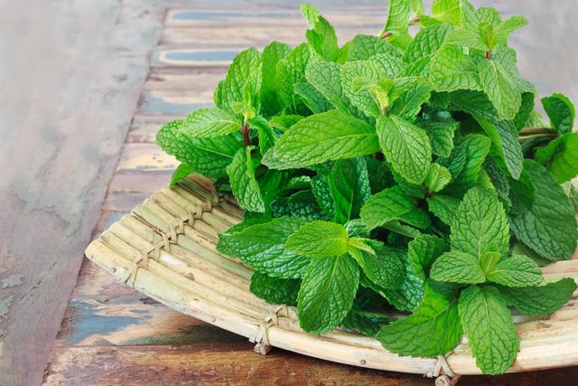Think mint, think coolness! (Shutterstock)
