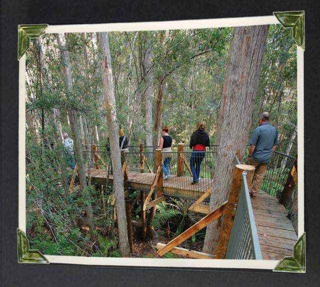 Tarraleah Tasmanian walking trails. (tarraleah.com) Tarraleah Tasmanian walking trails. (tarraleah.com)
