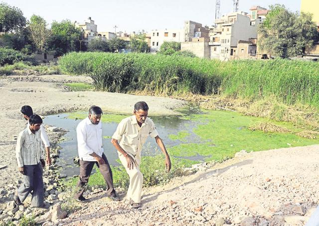The pond where Guru Dronacharya trained Pandavas and Kauravas in Gurgaon. (Parveen Kumar/HT photo) The pond where Guru Dronacharya trained Pandavas and Kauravas in Gurgaon. (Parveen Kumar/HT photo)