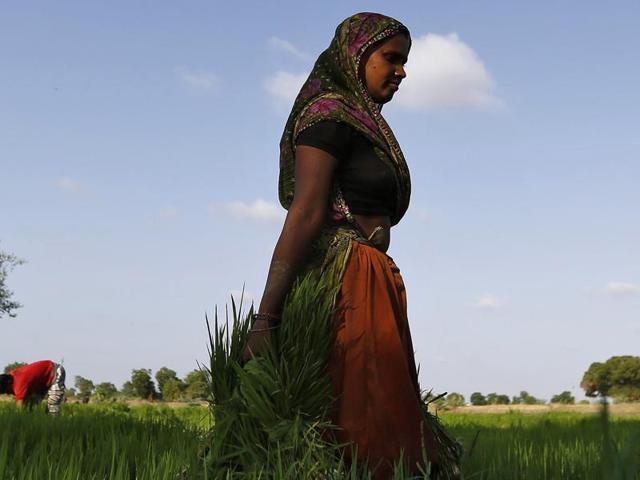 Government economists believe that a common farm market will make the commodities trade more transparent, less volatile and offer protection from inflation. (File photo/Reuters) Government economists believe that a common farm market will make the commodities trade more transparent, less volatile and offer protection from inflation. (File photo/Reuters)