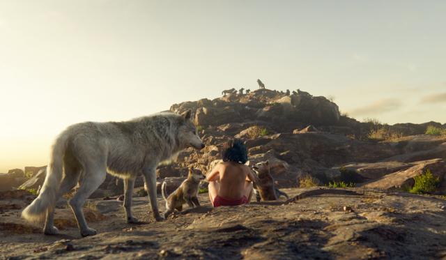 Mowgli, portrayed by Neel Sethi, center, and Raksha the wolf, voiced by Lupita Nyong'o, appear in a scene from, The Jungle Book. (AP) Mowgli, portrayed by Neel Sethi, center, and Raksha the wolf, voiced by Lupita Nyong'o, appear in a scene from, The Jungle Book. (AP)