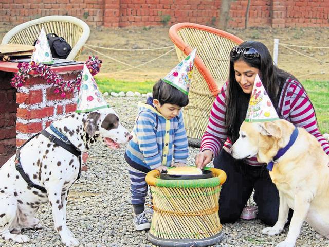 Birthday parties for pets are the new rage in Gurgaon. (HT Photo) Birthday parties for pets are the new rage in Gurgaon. (HT Photo)