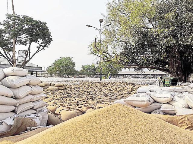 Wheat crop waiting to be lifted at the Nabha grain market on Monday. Farmers fear their produce will get damaged if it rains. (HT Photo)
