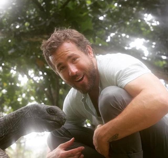 Ryan Reynolds didn’t need this. His movie (Deadpool) earned hundreds of millions of dollars and his wife (Blake Lively) gave birth to a baby. (Instagram)