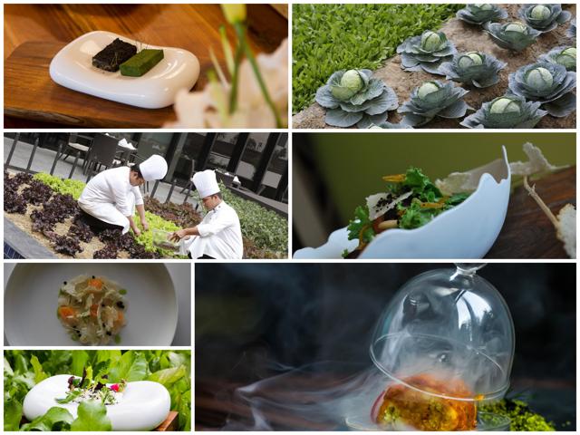 Hotel Pullman, Aerocity is practising farm-to-fork production of food at their restaurant Pluck. Hotel Pullman, Aerocity is practising farm-to-fork production of food at their restaurant Pluck.