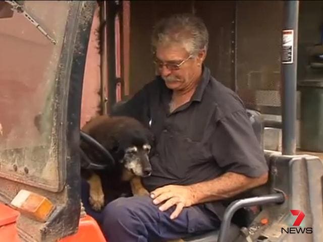 Screengrab of Maggie with the daily farmer, Brian McLaren. (Picture courtesy: Screengrab) Screengrab of Maggie with the daily farmer, Brian McLaren. (Picture courtesy: Screengrab)