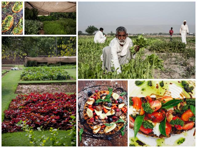 Caara Café uses ingredients from its farms. Caara Café uses ingredients from its farms.