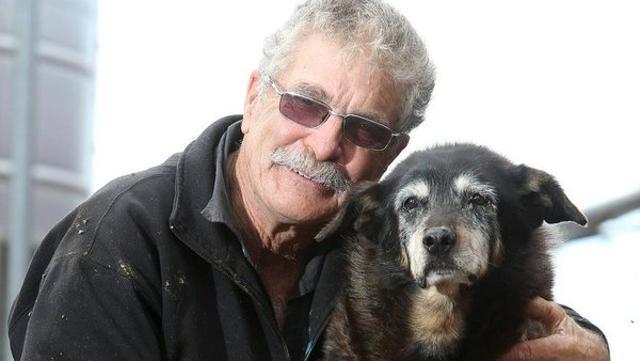 Maggie, the kelpie, died “peacefully” in her sleep on Sunday night. (Picture courtesy: Twitter) Maggie, the kelpie, died “peacefully” in her sleep on Sunday night. (Picture courtesy: Twitter)